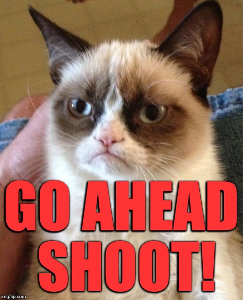 Grumpy Cat Meme | GO AHEAD SHOOT! | image tagged in memes,grumpy cat | made w/ Imgflip meme maker