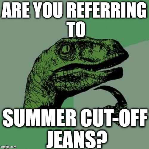 Philosoraptor Meme | ARE YOU REFERRING TO SUMMER CUT-OFF JEANS? | image tagged in memes,philosoraptor | made w/ Imgflip meme maker