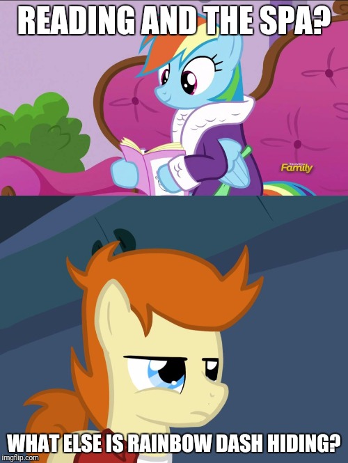 The mystery is afoot! | READING AND THE SPA? WHAT ELSE IS RAINBOW DASH HIDING? | image tagged in memes,my little pony | made w/ Imgflip meme maker
