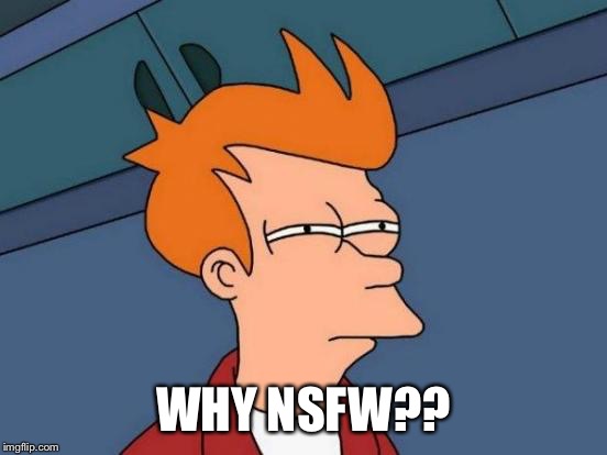 Futurama Fry Meme | WHY NSFW?? | image tagged in memes,futurama fry | made w/ Imgflip meme maker