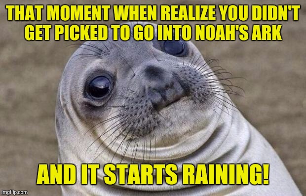 I hope this is a new one, I want to try to make the front page & thanks for the upvotes from Papi70! | THAT MOMENT WHEN REALIZE YOU DIDN'T GET PICKED TO GO INTO NOAH'S ARK; AND IT STARTS RAINING! | image tagged in memes,awkward moment sealion | made w/ Imgflip meme maker