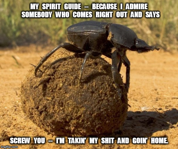 My Spirit Guide The Dung Beetle | MY   SPIRIT   GUIDE   --   BECAUSE   I   ADMIRE   SOMEBODY   WHO   COMES   RIGHT   OUT   AND   SAYS; SCREW   YOU   --   I'M   TAKIN'   MY   SHIT   AND   GOIN'   HOME. | image tagged in beetle,spirit guide | made w/ Imgflip meme maker