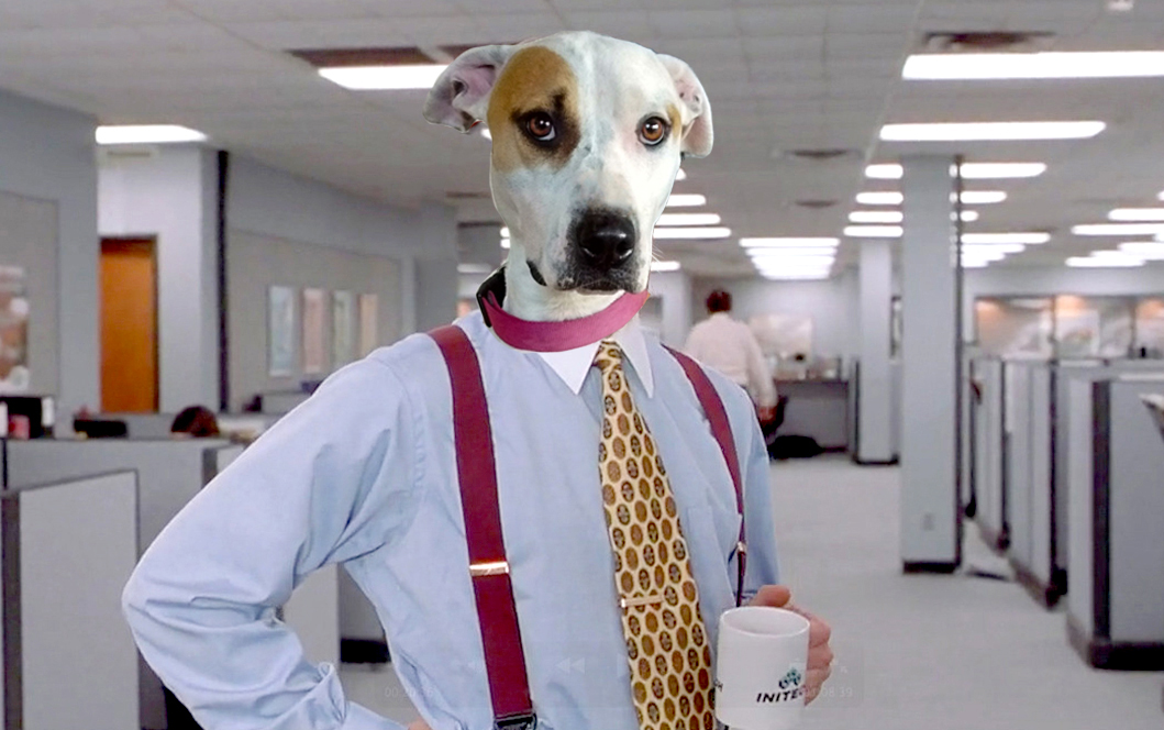 High Quality Office Space Pit Bull Blank Meme Template