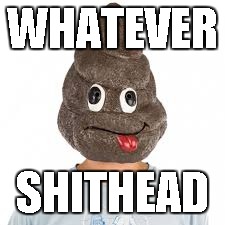WHATEVER; SHITHEAD | image tagged in shit head | made w/ Imgflip meme maker