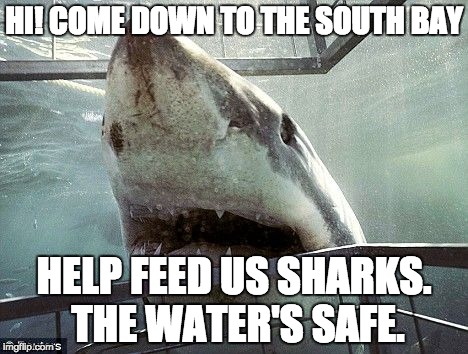 JAWS  | HI! COME DOWN TO THE SOUTH BAY; HELP FEED US SHARKS.  THE WATER'S SAFE. | image tagged in jaws | made w/ Imgflip meme maker