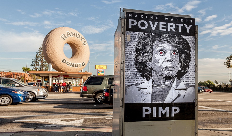 Maxine Waters Poverty Pimp Blank Meme Template