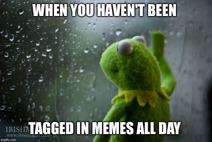 kermit window | WHEN YOU HAVEN'T BEEN; TAGGED IN MEMES ALL DAY | image tagged in kermit window | made w/ Imgflip meme maker
