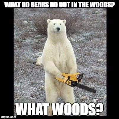 Chainsaw Bear | WHAT DO BEARS DO OUT IN THE WOODS? WHAT WOODS? | image tagged in memes,chainsaw bear | made w/ Imgflip meme maker