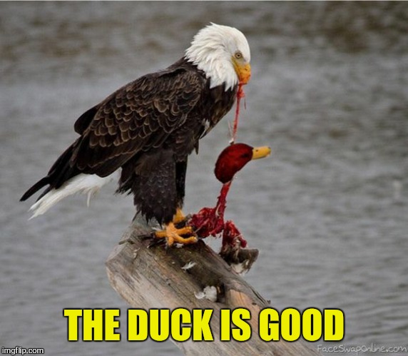 THE DUCK IS GOOD | made w/ Imgflip meme maker