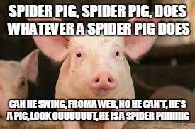 pig | SPIDER PIG, SPIDER PIG, DOES WHATEVER A SPIDER PIG DOES; CAN HE SWING, FROM A WEB, NO HE CAN'T, HE'S A PIG, LOOK OUUUUUUT, HE IS A SPIDER PIIIIIIIIG | image tagged in pig,spiderpig,spider pig | made w/ Imgflip meme maker