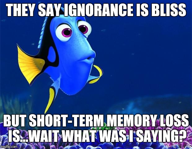 Dory | THEY SAY IGNORANCE IS BLISS; BUT SHORT-TERM MEMORY LOSS IS...WAIT WHAT WAS I SAYING? | image tagged in dory | made w/ Imgflip meme maker