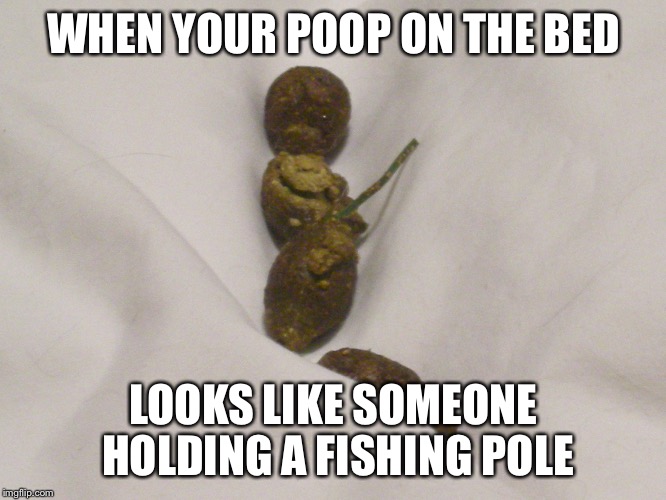 WHEN YOUR POOP ON THE BED LOOKS LIKE SOMEONE HOLDING A FISHING POLE | made w/ Imgflip meme maker