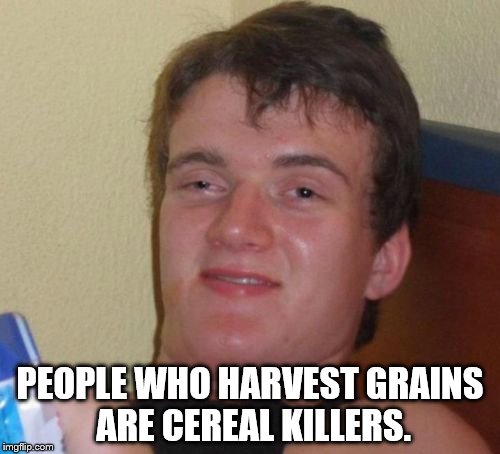 10 Guy Meme | PEOPLE WHO HARVEST GRAINS ARE CEREAL KILLERS. | image tagged in memes,10 guy | made w/ Imgflip meme maker