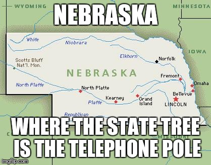 Scumbag Nebraska | NEBRASKA; WHERE THE STATE TREE IS THE TELEPHONE POLE | image tagged in scumbag nebraska | made w/ Imgflip meme maker