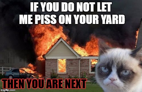 Burn Kitty | IF YOU DO NOT LET ME PISS ON YOUR YARD; THEN YOU ARE NEXT | image tagged in memes,burn kitty,grumpy cat | made w/ Imgflip meme maker