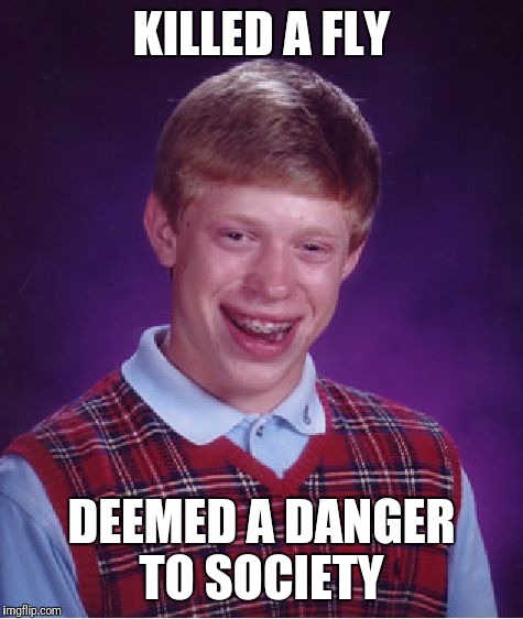 Bad Luck Brian Meme | KILLED A FLY; DEEMED A DANGER TO SOCIETY | image tagged in memes,bad luck brian | made w/ Imgflip meme maker