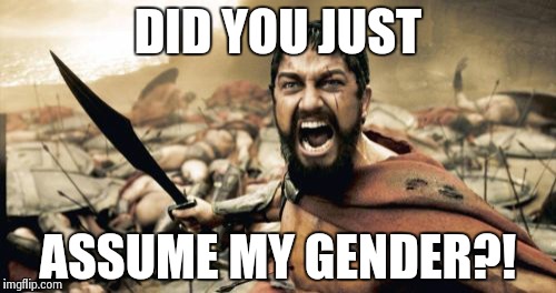 2017 in a nutshell | DID YOU JUST; ASSUME MY GENDER?! | image tagged in memes,sparta leonidas,in a nutshell | made w/ Imgflip meme maker