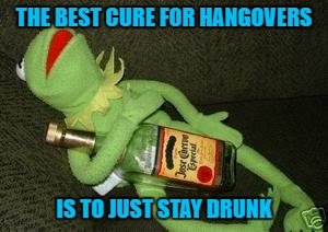 THE BEST CURE FOR HANGOVERS IS TO JUST STAY DRUNK | made w/ Imgflip meme maker