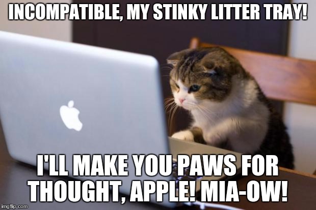 Cat using computer | INCOMPATIBLE, MY STINKY LITTER TRAY! I'LL MAKE YOU PAWS FOR THOUGHT, APPLE! MIA-OW! | image tagged in cat using computer | made w/ Imgflip meme maker