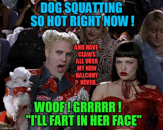 Dog squatting? Pet owners must be seriously bored! | DOG SQUATTING SO HOT RIGHT NOW ! AND HAVE CLAWS ALL OVER MY NEW BALCONY ?  NEVER... WOOF ! GRRRRR !     "I'LL FART IN HER FACE" | image tagged in slippy,slappy,fluffyknob the iii | made w/ Imgflip meme maker