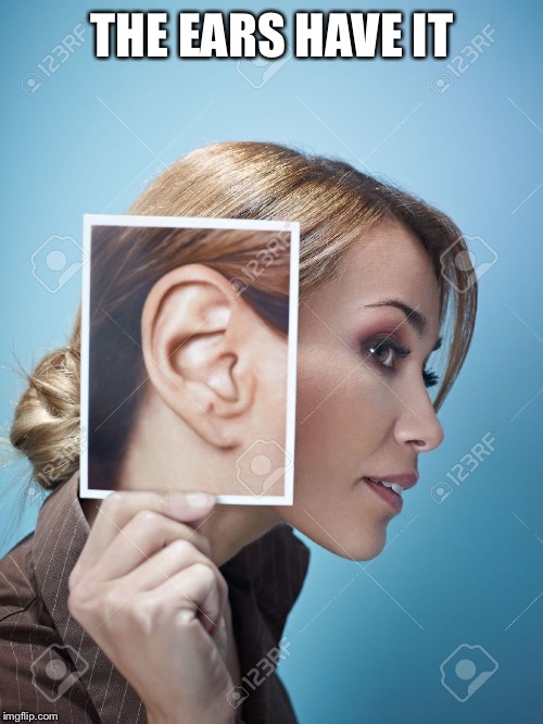THE EARS HAVE IT | made w/ Imgflip meme maker