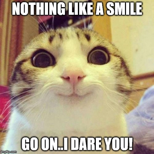 smiley cat | NOTHING LIKE A SMILE; GO ON..I DARE YOU! | image tagged in smiley cat | made w/ Imgflip meme maker