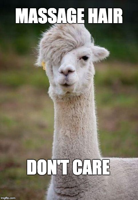 Emo Llama | MASSAGE HAIR; DON'T CARE | image tagged in emo llama | made w/ Imgflip meme maker