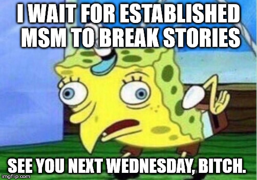 Mocking Spongebob Meme | I WAIT FOR ESTABLISHED MSM TO BREAK STORIES; SEE YOU NEXT WEDNESDAY, BITCH. | image tagged in mocking spongebob | made w/ Imgflip meme maker