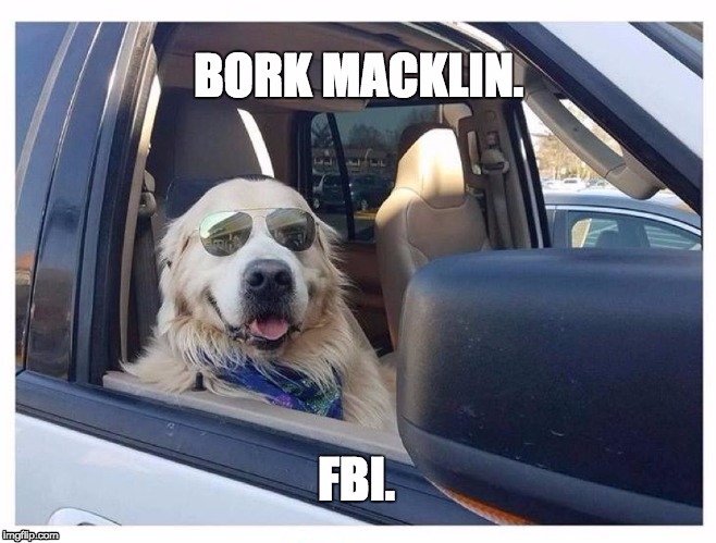 Bork Macklin. | image tagged in parks and recreation,andy dwyer,doggo,fbi | made w/ Imgflip meme maker