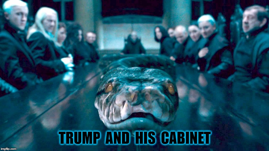 The Trump Administration | TRUMP  AND  HIS  CABINET | image tagged in trump,republicans,trump cabinet | made w/ Imgflip meme maker