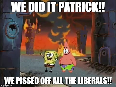 We did it Patrick we saved the city | WE DID IT PATRICK!! WE PISSED OFF ALL THE LIBERALS!! | image tagged in we did it patrick we saved the city | made w/ Imgflip meme maker