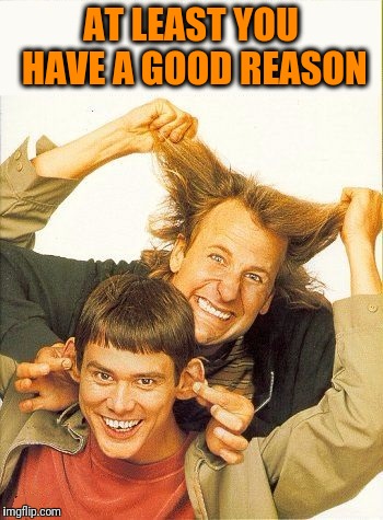 DUMB and dumber | AT LEAST YOU HAVE A GOOD REASON | image tagged in dumb and dumber | made w/ Imgflip meme maker