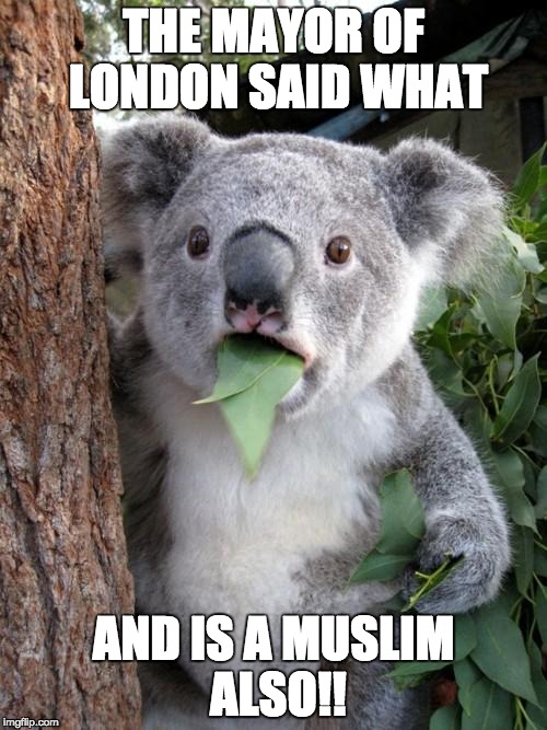 Surprised Koala Meme | THE MAYOR OF LONDON SAID WHAT; AND IS A MUSLIM ALSO!! | image tagged in memes,surprised koala | made w/ Imgflip meme maker