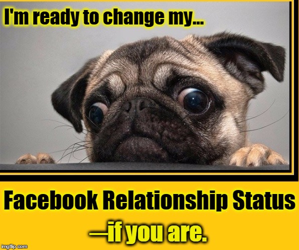 The Mug on that Pug gave my Heart Strings a Tug | I'm ready to change my... Facebook Relationship Status; ─if you are. | image tagged in vince vance,pugs,facebook relationship status,facebook,commitment,could this be love | made w/ Imgflip meme maker
