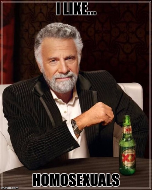 The Most Interesting Man In The World Meme | I LIKE... HOMOSEXUALS | image tagged in memes,the most interesting man in the world | made w/ Imgflip meme maker