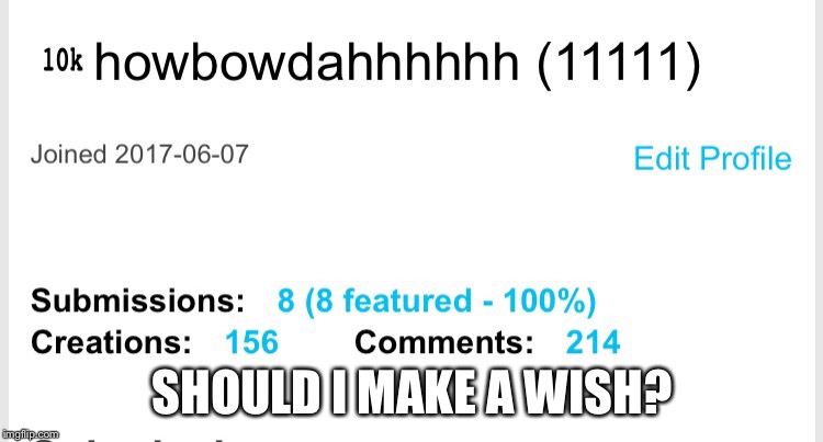 SHOULD I MAKE A WISH? | image tagged in memes,imgflip | made w/ Imgflip meme maker