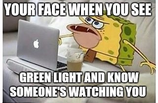 Stalking | YOUR FACE WHEN YOU SEE; GREEN LIGHT AND KNOW SOMEONE'S WATCHING YOU | image tagged in spongegar computer | made w/ Imgflip meme maker