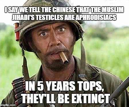 Robert Downey Jr Tropic Thunder | I SAY WE TELL THE CHINESE THAT THE MUSLIM JIHADI'S TESTICLES ARE APHRODISIACS; IN 5 YEARS TOPS, THEY'LL BE EXTINCT | image tagged in robert downey jr tropic thunder | made w/ Imgflip meme maker