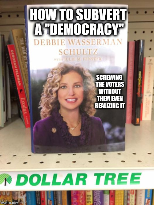 How To.. | HOW TO SUBVERT A "DEMOCRACY"; SCREWING THE VOTERS WITHOUT THEM EVEN REALIZING IT | image tagged in debbie wasserman schultz,dollar store,dnc,book,election rigging,election engineering | made w/ Imgflip meme maker