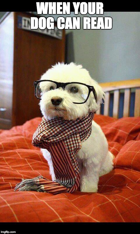 Intelligent Dog | WHEN YOUR DOG CAN READ | image tagged in memes,intelligent dog | made w/ Imgflip meme maker