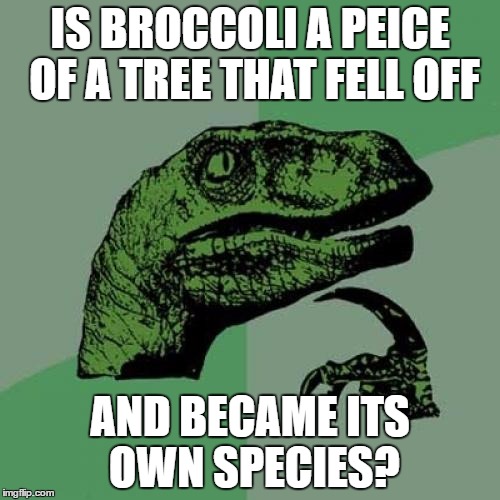 brooccoli | IS BROCCOLI A PEICE OF A TREE THAT FELL OFF; AND BECAME ITS OWN SPECIES? | image tagged in memes,philosoraptor | made w/ Imgflip meme maker