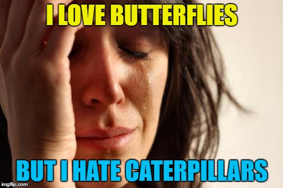 What would a hungry butterfly turn into? | I LOVE BUTTERFLIES; BUT I HATE CATERPILLARS | image tagged in memes,first world problems,animals,butterflies,caterpillars,nature | made w/ Imgflip meme maker