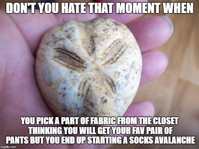 DON'T YOU HATE THAT MOMENT WHEN; YOU PICK A PART OF FABRIC FROM THE CLOSET THINKING YOU WILL GET YOUR FAV PAIR OF PANTS BUT YOU END UP STARTING A SOCKS AVALANCHE | image tagged in grumpy urchin 1 | made w/ Imgflip meme maker