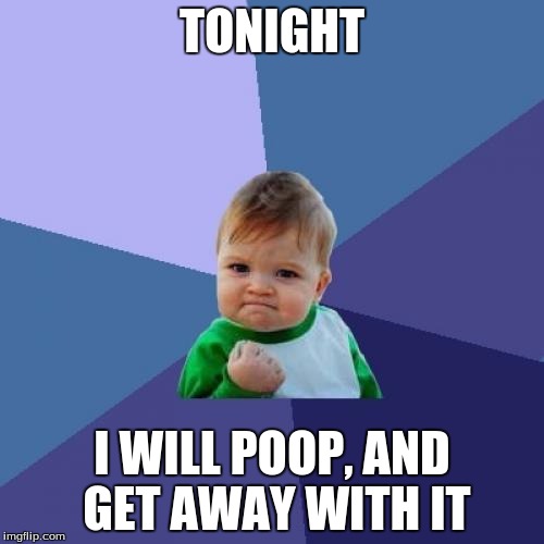 Success Kid | TONIGHT; I WILL POOP, AND GET AWAY WITH IT | image tagged in memes,success kid | made w/ Imgflip meme maker