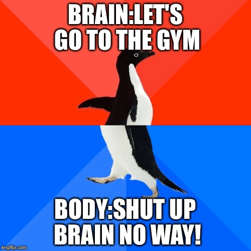 Socially Awesome Awkward Penguin Meme | BRAIN:LET'S GO TO THE GYM; BODY:SHUT UP BRAIN NO WAY! | image tagged in memes,socially awesome awkward penguin | made w/ Imgflip meme maker