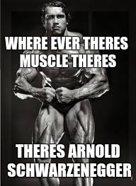 freedom comes in great power | WHERE EVER THERES MUSCLE THERES; THERES ARNOLD SCHWARZENEGGER | image tagged in freedom kids | made w/ Imgflip meme maker