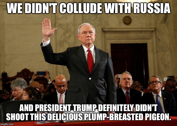 WE DIDN'T COLLUDE WITH RUSSIA; AND PRESIDENT TRUMP DEFINITELY DIDN'T SHOOT THIS DELICIOUS PLUMP-BREASTED PIGEON. | image tagged in jeff sessions | made w/ Imgflip meme maker