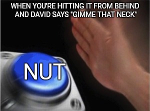 Blank Nut Button | WHEN YOU'RE HITTING IT FROM BEHIND AND DAVID SAYS "GIMME THAT NECK"; NUT | image tagged in blank nut button | made w/ Imgflip meme maker
