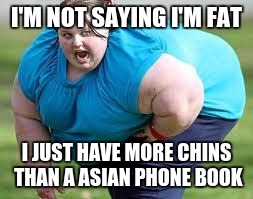 To all people having a bad day | I'M NOT SAYING I'M FAT; I JUST HAVE MORE CHINS THAN A ASIAN PHONE BOOK | image tagged in memes | made w/ Imgflip meme maker