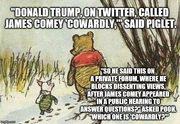 Pooh Piglet | "DONALD TRUMP, ON TWITTER, CALLED JAMES COMEY 'COWARDLY,'" SAID PIGLET. "SO HE SAID THIS ON A PRIVATE FORUM, WHERE HE BLOCKS DISSENTING VIEWS, AFTER JAMES COMEY APPEARED IN A PUBLIC HEARING TO ANSWER QUESTIONS?" ASKED POOH.  "WHICH ONE IS 'COWARDLY?'" | image tagged in pooh piglet | made w/ Imgflip meme maker